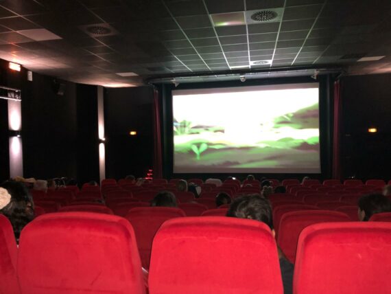 WhatsApp Image 2025-05-20 at 12.19.17